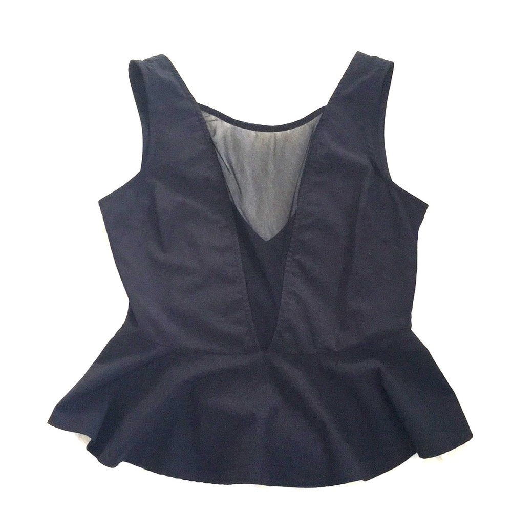 Pleplum Black V Neck mesh Blouse